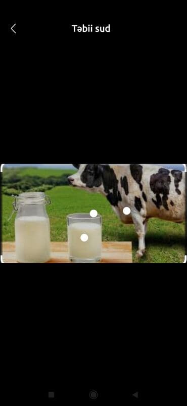 Qida məhsulları: Ferma sudu 1 litiri 1.30 manat minimum 200 l di zakaz çatdırılma var — 1