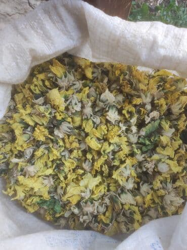 Digər bitkilər: Bütün növ yerli və xaricdən gəlmə bitkilərin topdan satışı Çərəz — 1