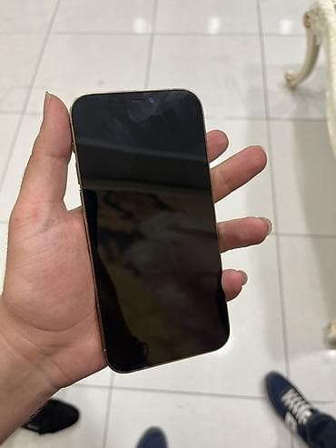 ıpad pro m1: IPhone 12 Pro Max, Qızılı, Face ID — 6