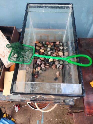 betta balıq: Dördbucaq akvarium, Boş, 10 l, Ödənişli çatdırılma — 1