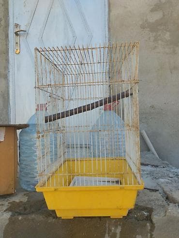 dövsan: Quş qəfəsləri – müxtəlif ölçülərdə və rənglərdə Təsvir: - Dörd ədəd — 3