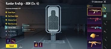 sexsi esyalar: PUBG Mobile hesabı – laboratoriya yüksəldilən silah kolleksiyası — 2