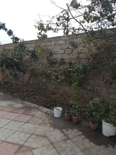 Günlük kirayə mənzillər: Sibrizə yaxin məsafə ana yola 250 metrdir.Təmiz və sakit məkan Pirsagi — 10