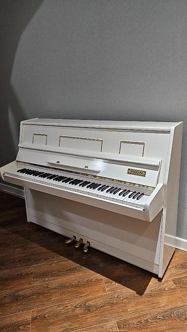 Piano əla vəziyyətdədir, çox səliqəli saxlanıb. Tokkata modeldir