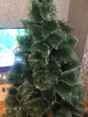 Информатика: Yolka satılır yenidir. Heç bir deffekti yoxdur. 160sm-dir. Dəqiq — 3