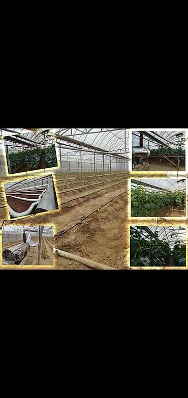 sarayda kiraye ev: 3 otaqlı, 2100 kv. m, Kredit var, Orta təmir — 2