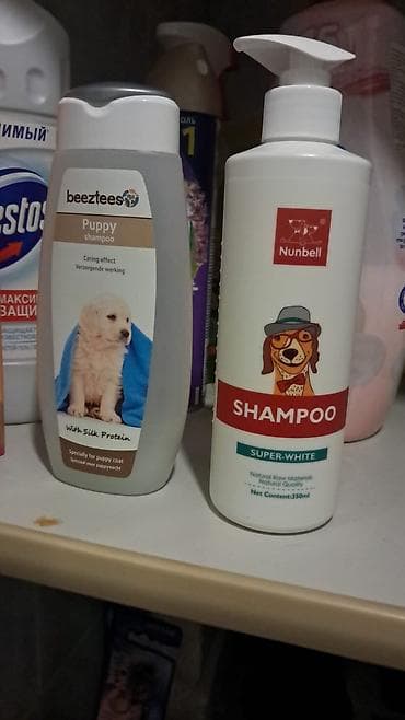 doberman balaları: Malta bolonka, Peyvəndli — 3