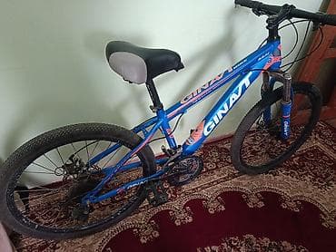 iwlenmiw velosiped: Velosiped – GINAT (MTB tipli) - Rəng: mavi-narıncı loqo və detallar - — 3