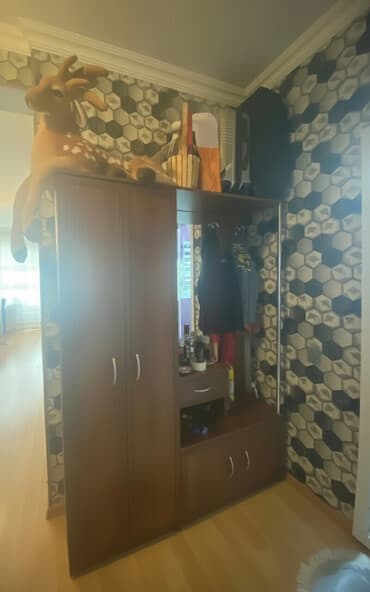 kombi üçün şkaf: İşlənmiş, Açılan, 2 qapılı Düz dolab, Dəhliz dolabı — 1