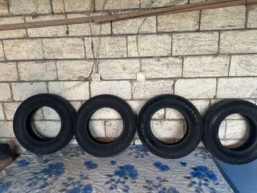 teker alemi sumqayit: 4 dənə petlas təkərləri,50%di,qiymətdə cüzi endirim olar — 2