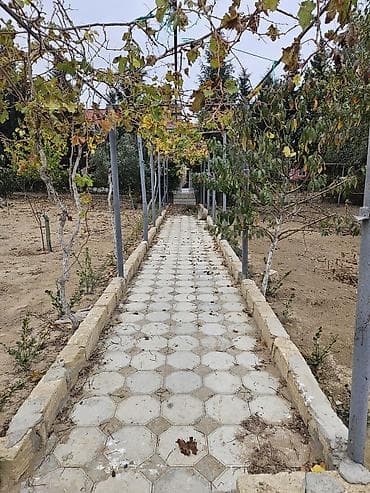 pirallahida ev satilir 2021: 85 kv. m, 4 otaqlı, Su — 10