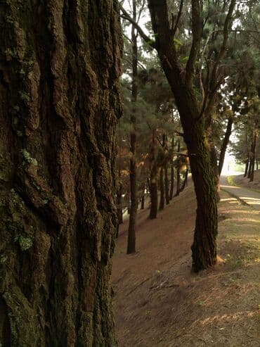 canon powershot a2300 is: 5k Digital camera. Bahalı markalara pul xərcləməyinizə ehtiyac yoxdur — 6