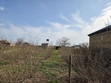 turkanda bag evleri 2018: Məhsul: Hasarlı bağ sahəsi və təsərrüfat infrastrukturu Təsvir: - — 7