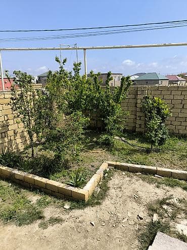 pirşağı: KİRAYE:Sovxoz pirşagı yolu avtobus dayanacağa Cox yaxin ayaqla yürüme — 5