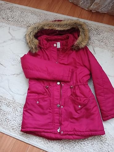 Godekce Terranovadandi. 12-13 yasdi. Tund zogal rengindedi. Ela