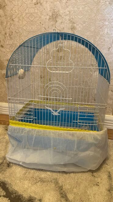 Одежда: Qefes satilir orta olculu .Unvan yeni yasamal . Yem qabıarı var — 1