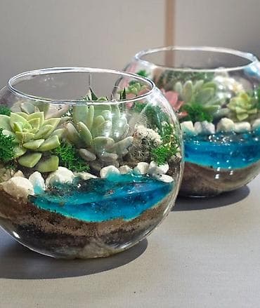 Горшки для растений: Şüşə akvarium formalı terrarium kompozisiyaları - Şəffaf şüşə qabda — 5