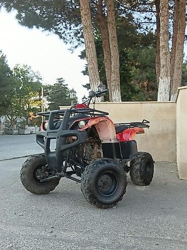 motor atv: ATV/kvadrotsikl – benzinli, ön və arxa yük rəfləri ilə - Güclü ofroud — 3