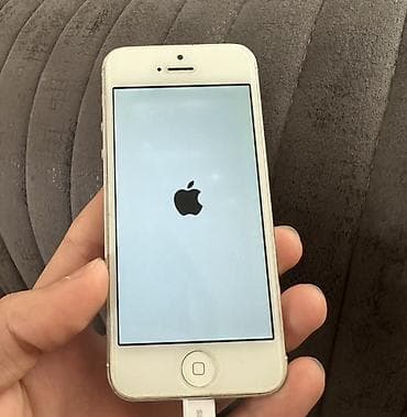IPhone 5, Ağ