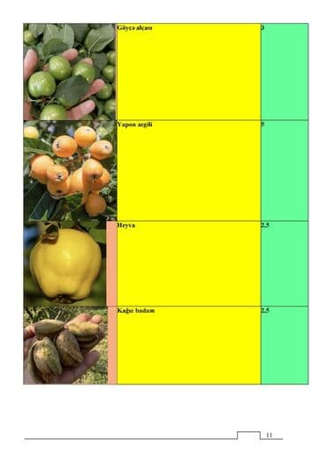 Çöl bitkiləri: Meyvə və dekorativ ağac tingləri Təsvir: - Tərtər rayonu ərazisində — 2