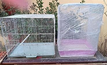 Qəfəsler satılır İran qəfəs En32 49/50 Hündür,43 Digər en 30 Uzun lalafo.az -da Qəfəsler satılır İran qəfəs En32 49/50 Hündür,43 Digər en 30 Uzun