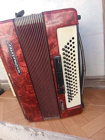 gitara akustik: Akustik Akkordeon, İşlənmiş — 3