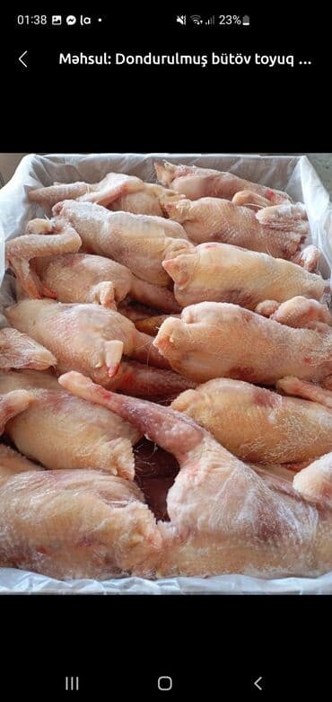 Məhsul Sizin sifarişinizlə tamilə yeni kəsilmiş bütöv toyuq satışı