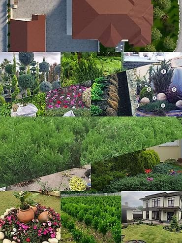 Pejaj və landşaft dizaynı xidməti - Həyətyanı sahələrin, bağların və — 2