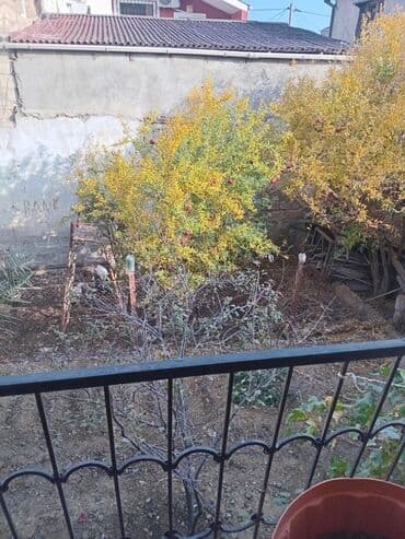 yevlaxda evler: 355 kv. m, 10 otaq, Qaz — 17