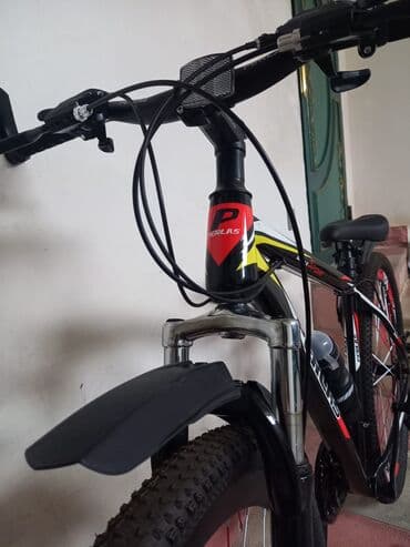 qalin tekerli velosiped: Yeni Fat Bike 29", Ünvandan götürmə — 11