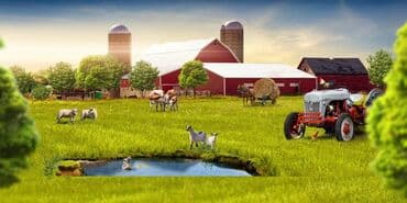 Avtoservis avadanlıqları: Ferma Arendaya verilir Əkin Sahələri ilə birlikdə Yevlax Ərazində — 1