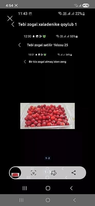 Digər qida məhsulları: Qiymət: 1 kq – 20.tebi zogal — 1