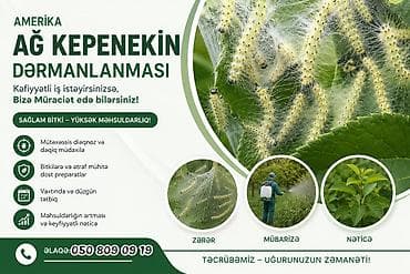 qarisqa: Dezinfeksiya, dezinseksiya | Birələr, Tarakanlar, Ağacları çiləmə | Evlər, Girişlər, Həyətlər — 3