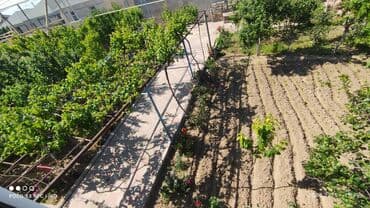 домики в набране: 7 otaqlı, 250 kv. m — 20