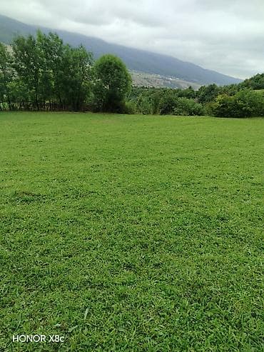 binə savxoz ev: 21 sot, Kənd təsərrüfatı, Mülkiyyətçi, Kupça (Çıxarış) — 1