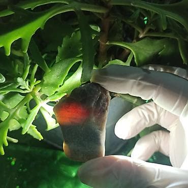 green witch saat: Kolleksiyamdakı Təbii Daşların Satışı | Mineral • Kristal • Dekorativ — 3