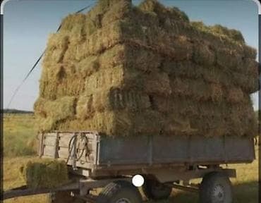 cins ineklerin satisi 2018: YONCA PRESİ SATILIR, NAVEST ŞƏRAİTİNDƏ SAXLANILIR . ÜNVAN: ŞABRAN RAY — 1