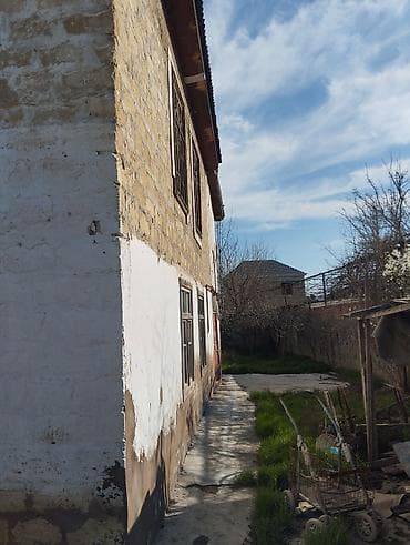 Biznes üçün — 7