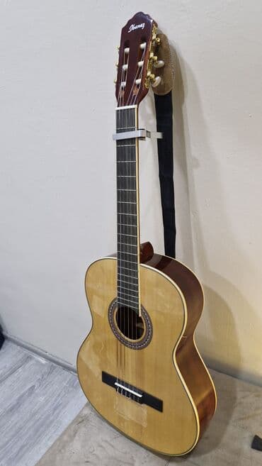 İdman və istirahət: Klassik gitara, Ibanez — 1