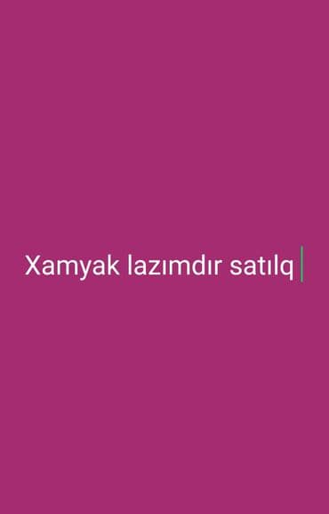 Pişiklər: Xamyak satılır. - Ev heyvanı kimi saxlanmaq üçün uyğun, mehriban və — 1