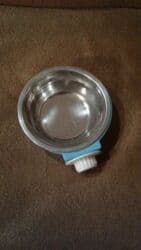 Yemlər: Shekilleri cevirin It ve pishikler ucun dirnaq tutan qayci tezedi — 28