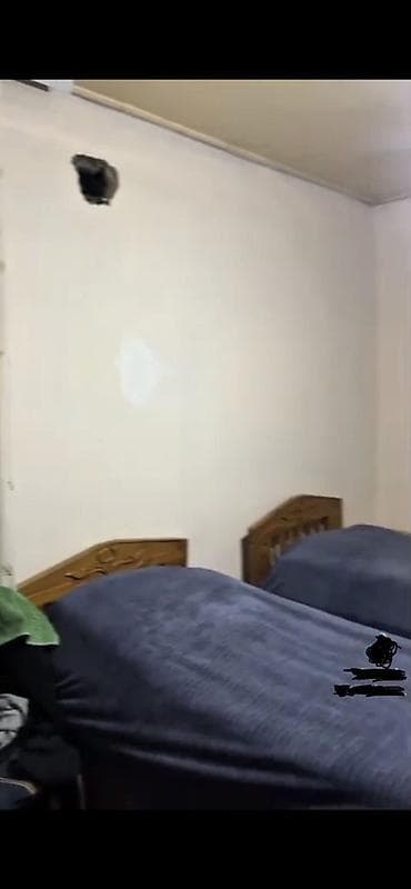 zigda kiraye evler 2024: 4 otaqlı, 140 kv. m, Kredit yoxdur, Orta təmir — 7