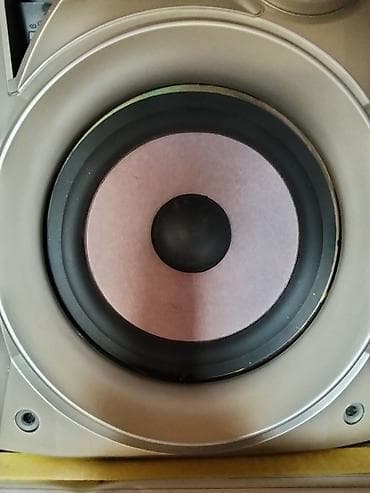 polis mikrofon: Karaoke səs sistemi – NTeLi BT-266 gücləndirici, mikrofon və iki — 2