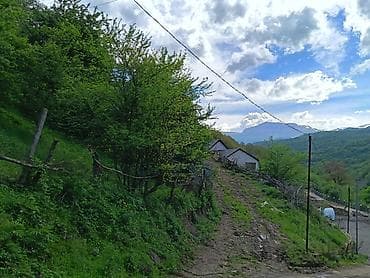 Tikinti