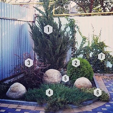 Avto xidmətlər: Pejaj və landşaft dizaynı xidməti - Həyət, bağ və villalar üçün — 6