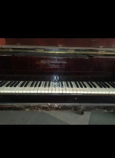 Antik kuyruklu piano – Wills. Pethmüller & Sohn, Göttingen - — 8