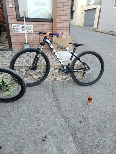 ош кыз керек: 1200 — 1