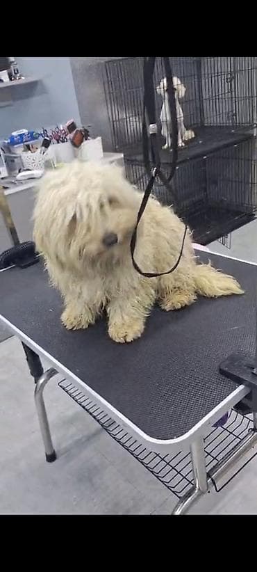 Красота и здоровье: Барберы | Другой вид услуги — 2