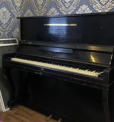 Piano, Belarus, Akustik, İşlənmiş, Ünvandan götürmə