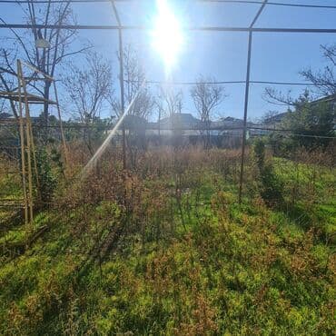 tərtər ev: 18 sot, Tikinti, Barter mümkündür, Kupça (Çıxarış) — 19